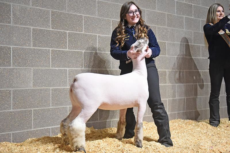 Cypress Falls High School junior Abigail Cline had the Grand Champion Lamb.
